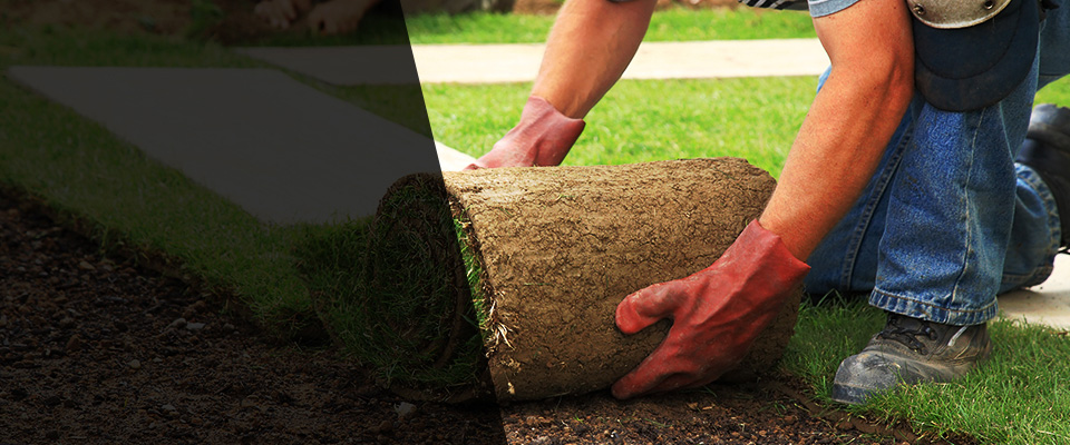 Tunica Landscapers